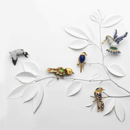 These little creatures are offered in our Online #Jewels Sale...