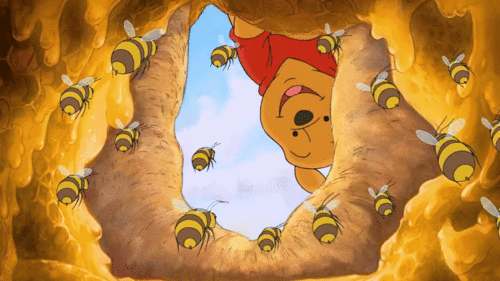 letters from the hive an intimate history of bees honey and humankind ebook there s a book for that letters from the hive an intimate history of bees honey and humankind ebook there s a book for that