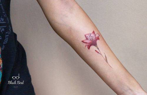 Illustrative lily tattoo on the left inner forearm. Tattoo... flower;small;brown;lily;tiny;red;pink;little;nature;forearm;luizaoliveira;illustrative