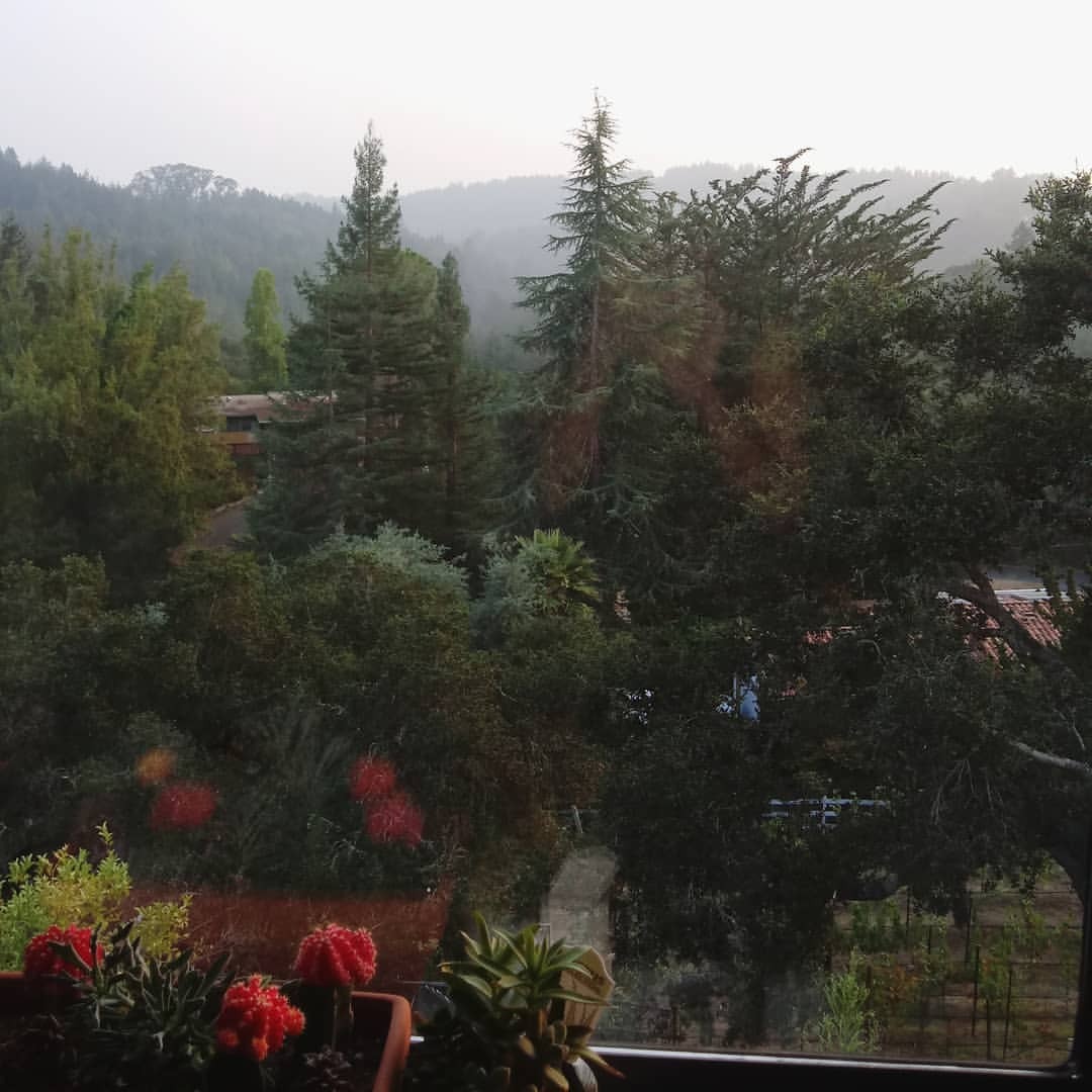 <p>View from my window. Smoke settles in the hills of the valley from California’s wildfires. Our poor state. Summertime happens between a rock and a hard place.</p>