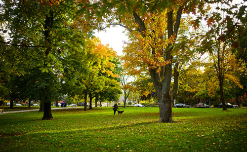 Fall at Riverdale Park. 