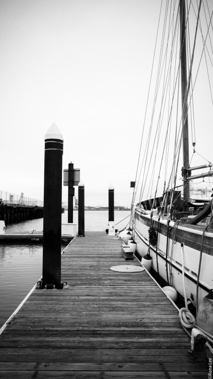 tumblr photo
