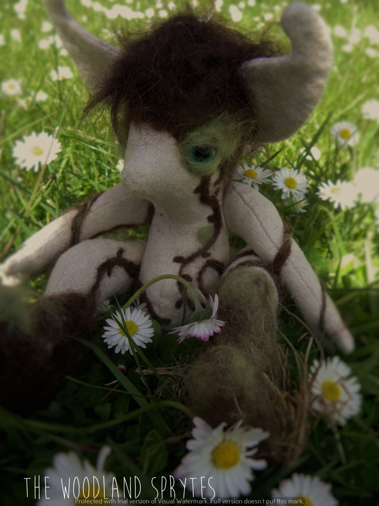 tumblr photo