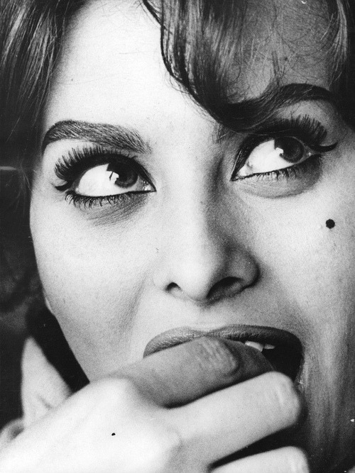 Sophia Loren