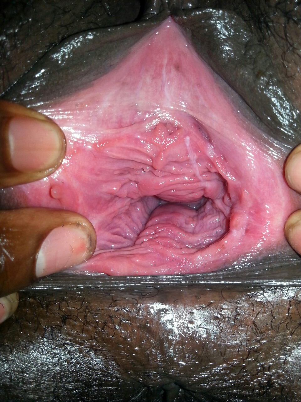 Порно Inside Vagina.