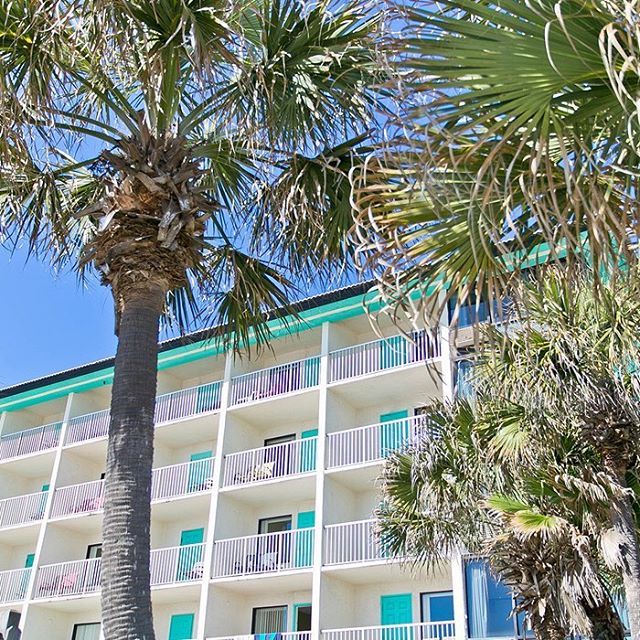 Jade hustler magizine Bikini beach hotel panama city beach florida
