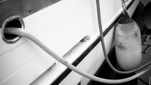 tumblr photo