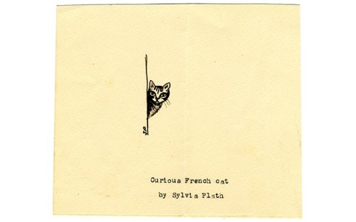 Sylvia plath essay