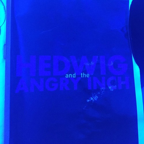 Topics tagged under amyheckerling on Darren Criss Fan Community Tumblr_noh8b9EdMz1r4gxc3o1_500