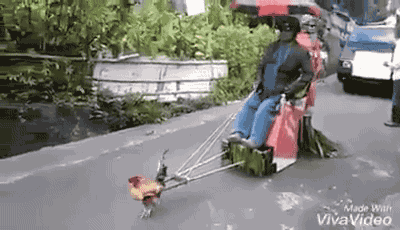 EL MEJOR GIF ANIMADO V 4.0 - Página 2 Tumblr_od5ftfoi3A1s02vreo1_400