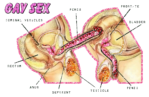 anal sex diagram rytter anal sex diagram rytter
