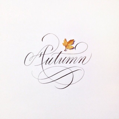 seasonalwonderment:
“ Finally Fall!
”