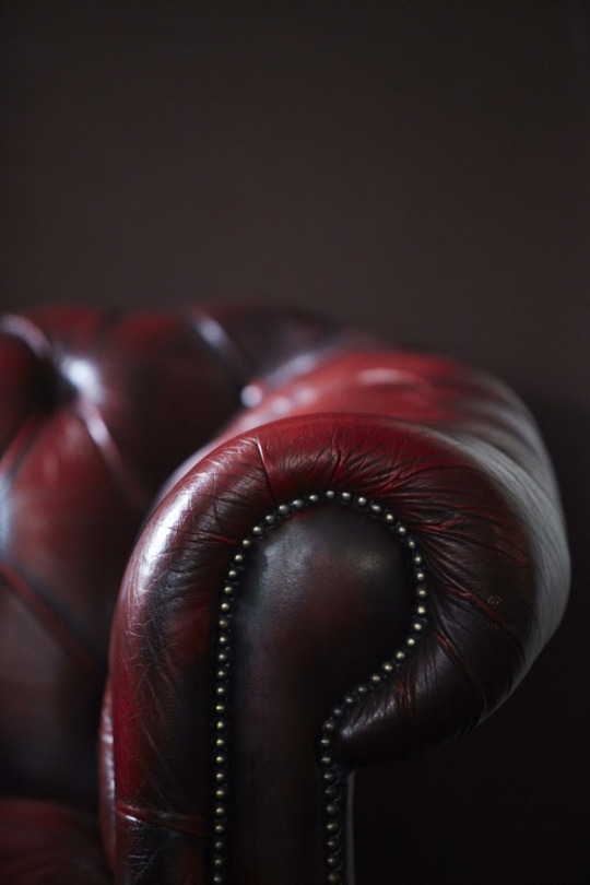 tumblr photo