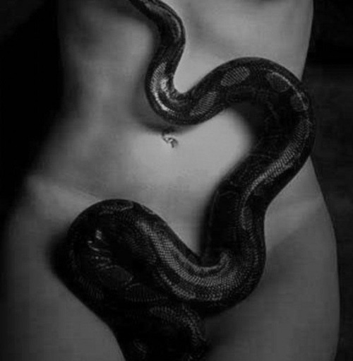 Black Snake Приват Порно Записи