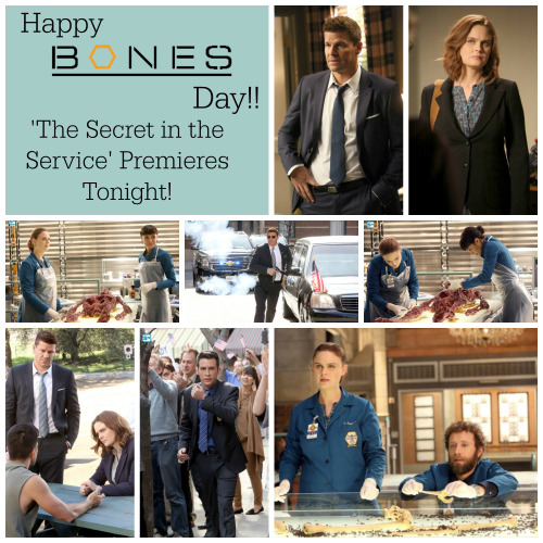 happy bones day happy bones day