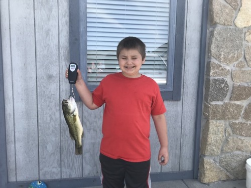 <p>06/11/19 Fat Fish Tuesday winner</p>