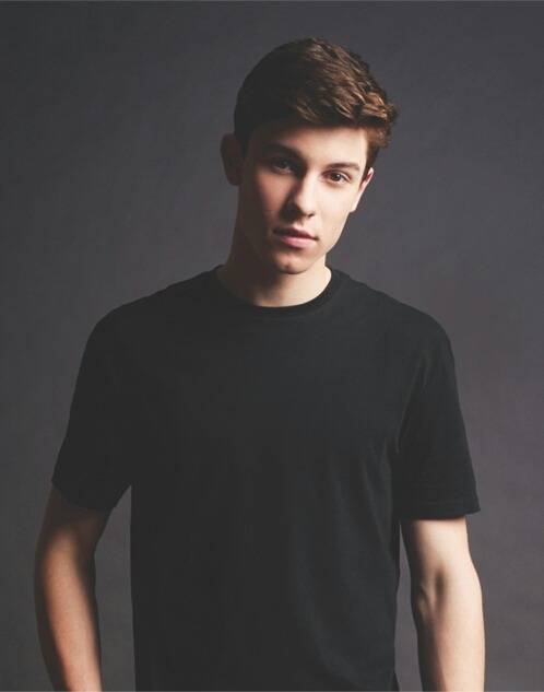 everything shawn mendes everything shawn mendes