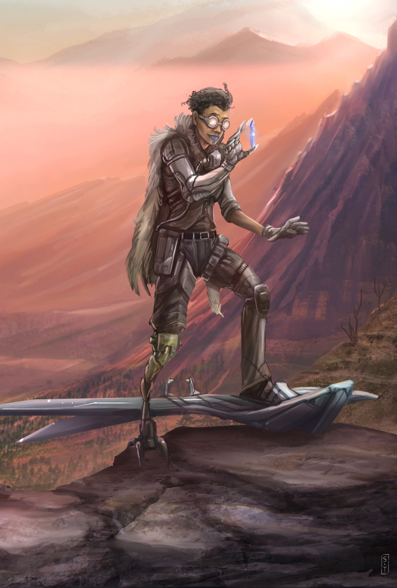 Zari, a Clever Jack