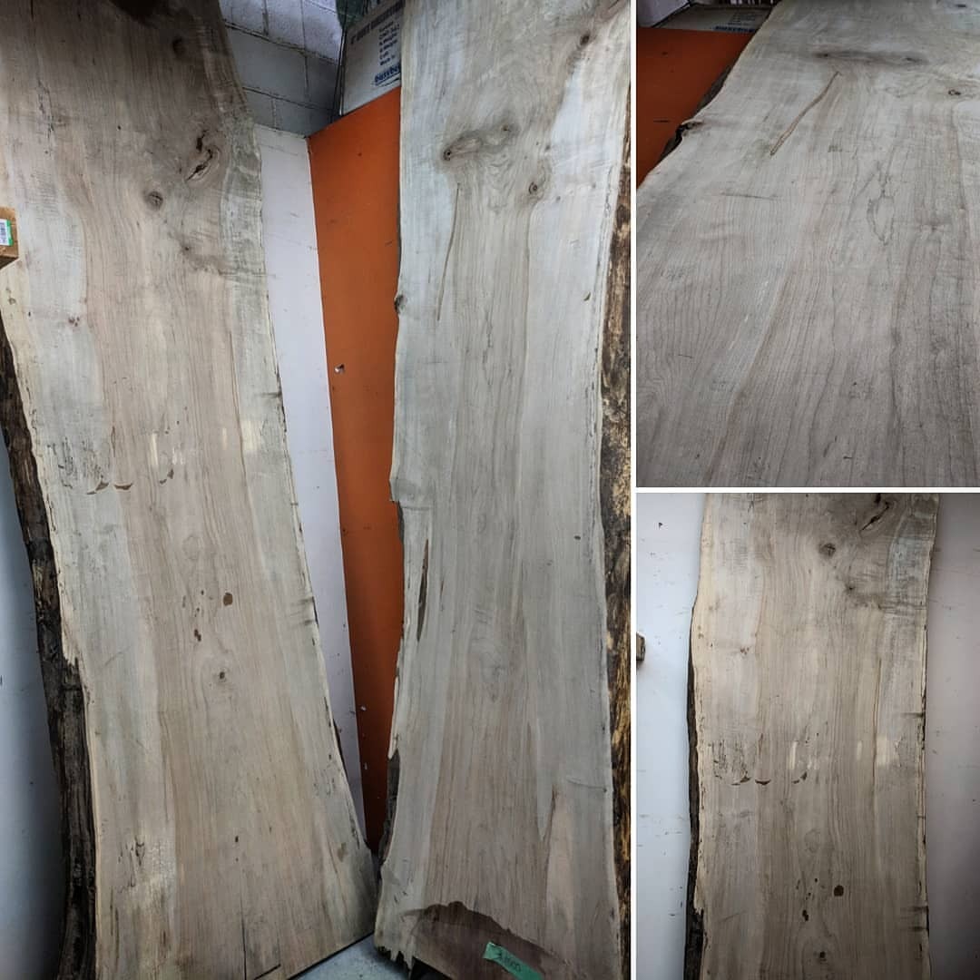 <p>Couple of giant maple slabs available at the Toronto shop - slab on the left is 3.25 inches thick, almost 11 ft long and about 36 inches wide. Slab on the right is 2.5 inches thick, almost 11 ft and about 30 inches wide. Beast Slabs!</p>
<p>Both are kiln dried, flattened and ready to go - you can buy them as is or have us make something for you.</p>
<p>Email for pricing at sales@barnboardstore.com (at Toronto, Ontario)<br/>
<a href="https://www.instagram.com/barnboardstore/p/BvPRGmoBTJo/?utm_source=ig_tumblr_share&igshid=1nid6pzuhce4i">https://www.instagram.com/barnboardstore/p/BvPRGmoBTJo/?utm_source=ig_tumblr_share&igshid=1nid6pzuhce4i</a></p>