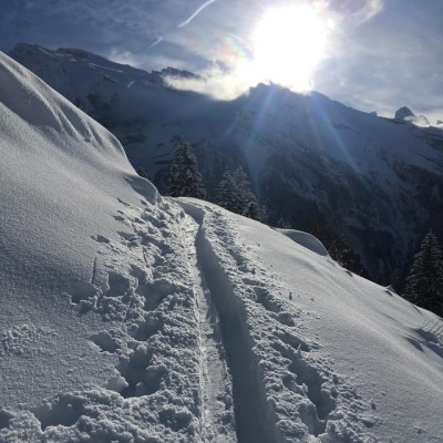 <p>Cause it‘s better than XCSkiing😉 <br/>
#skitouring #powder #towarm #freeyourheel #telemark (hier: Engelberg, Switzerland)<br/>
<a href="https://www.instagram.com/p/Bsiic4PllG5/?utm_source=ig_tumblr_share&igshid=1kjbrv8tm7qdg">https://www.instagram.com/p/Bsiic4PllG5/?utm_source=ig_tumblr_share&igshid=1kjbrv8tm7qdg</a></p>