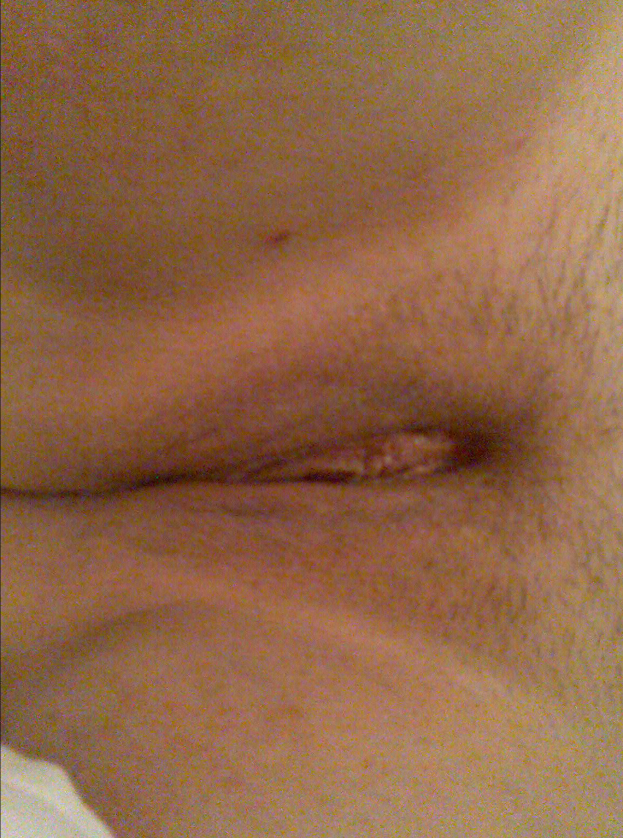 free pornograghy videos