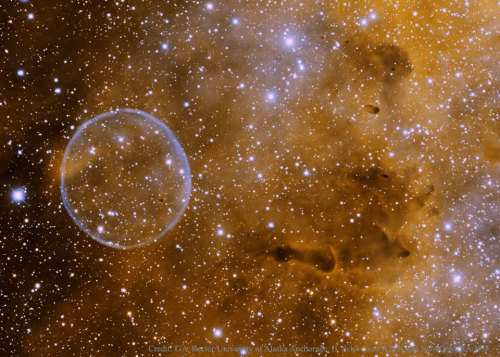 just–space:
“ The Soap Bubble Nebula : Adrift in the rich star fields of the constellation Cygnus, this lovely, symmetric nebula was only recognized a few years ago and does not yet appear in some astronomical catalogs. In fact, amateur astronomer...