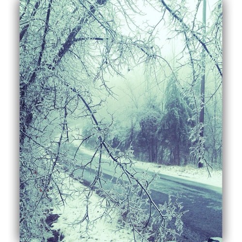<p>Taking out the trash was icy yesterday #nashville #icestorm #chores (at Ridgetop, TN)</p>