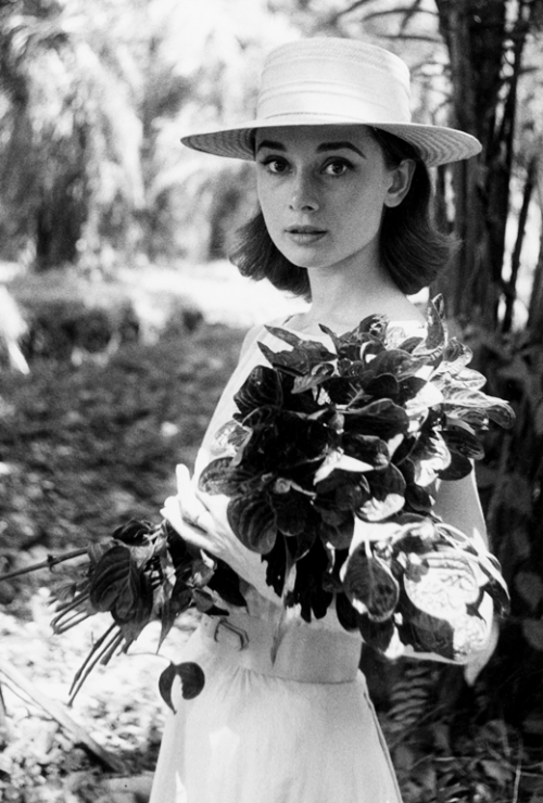 missingaudrey:
“Audrey Hepburn photographed by Leo Fuchs during the production of The Nun’s Story, Belgian Congo, 1958.
”