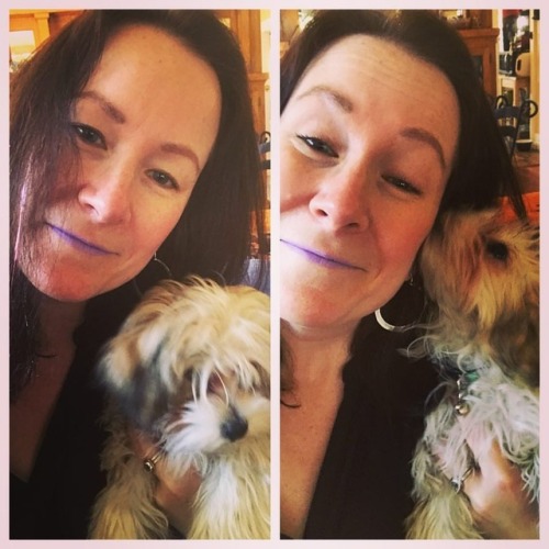 <p>Here’s a yorkiepommaltepoo for your Saturday. It’s also possibly a Swiffer with feet. My brother and sister-in-law know how to pick ‘em. #artemis #dogsimeetontour #yorkiepom #maltepoo #girldogswithboynames (at Long Beach, California)</p>