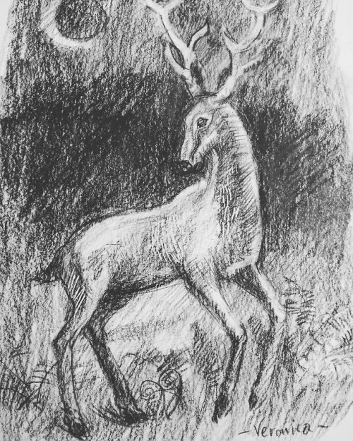 <p><strong><a href="http://veronicaaldous.wordpress.com/2018/10/22/black-stag-at-midnight/">Black Stag at Midnight</a></strong></p>