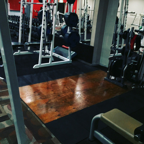 <p>Get up get it done, thereโs never a perfect time to train and that makes all the time a good time to train. No time is not a legitimate excuse ๐ค๐ช๐ฝ๐๐ฝ๐ฅ #YOUniverseGym #healthylifestyle #kingsbeach #caloundra #pelicanwaters #goldenbeach #moffatsbeach #dickeysbeach #aura (at Universe Gym Caloundra)</p>