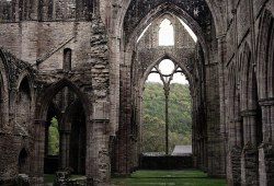 ghostlywatcher:
“ Tintern Abbey, Wales.
”