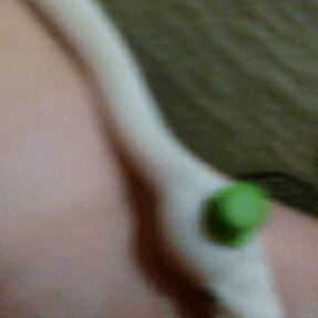 tumblr_o86euuAf3e1r2ps52o1_400.gif