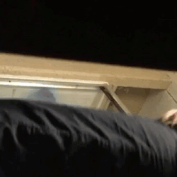 free porn m porn