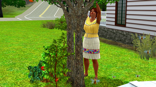 Despite everything, Benita still finds time for her little garden. She’s got an apple tree, a peach tree, some tomatoes and a handful of herb plants. They’re doing pretty well despite her earlier clumsiness with plants.
She wanted bees, my god. I...