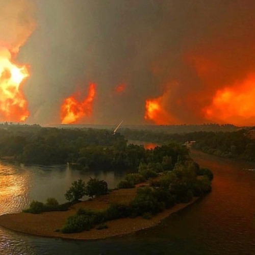 <p>The #carrfire exploded overnight and evacuations are still underway. Shasta Lake City is now being added to the list. My family is currently safe but our homes are not out of danger. Many of my friends and their families are currently evacuated and are hoping for the best. Entire neighborhoods have been destroyed and the fire is barely 10% contained. The beautiful historic town of Old Shasta (where my dad and stepmom got married) has seen tremendous damage. As my brother and I wryly joked last night, we’ve always given Redding a hard time - you’re allowed to do that to the place where you grew up - but just like your mom, no one else is ever allowed to talk smack about it. This fire is destroying our city and we’re just devastated about it. Sending all our love to Shasta County. Oh, and just a reminder, if you can’t take your pets with you when you evacuate, don’t tie them up. Also, @havenhumanesociety is taking pets if you need somewhere to house them. #redding (at Redding, California)</p>