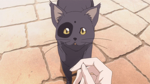 Anime black cat gif
