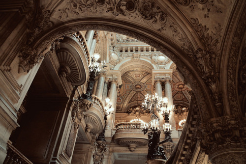 tumblr photo