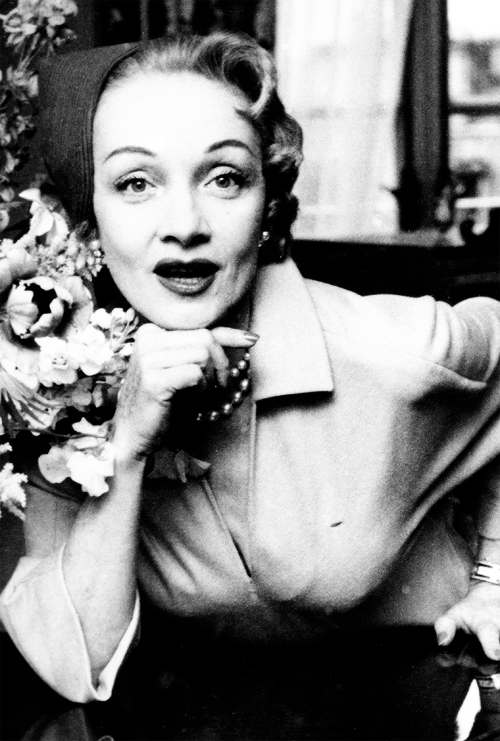 Casino marlene dietrich