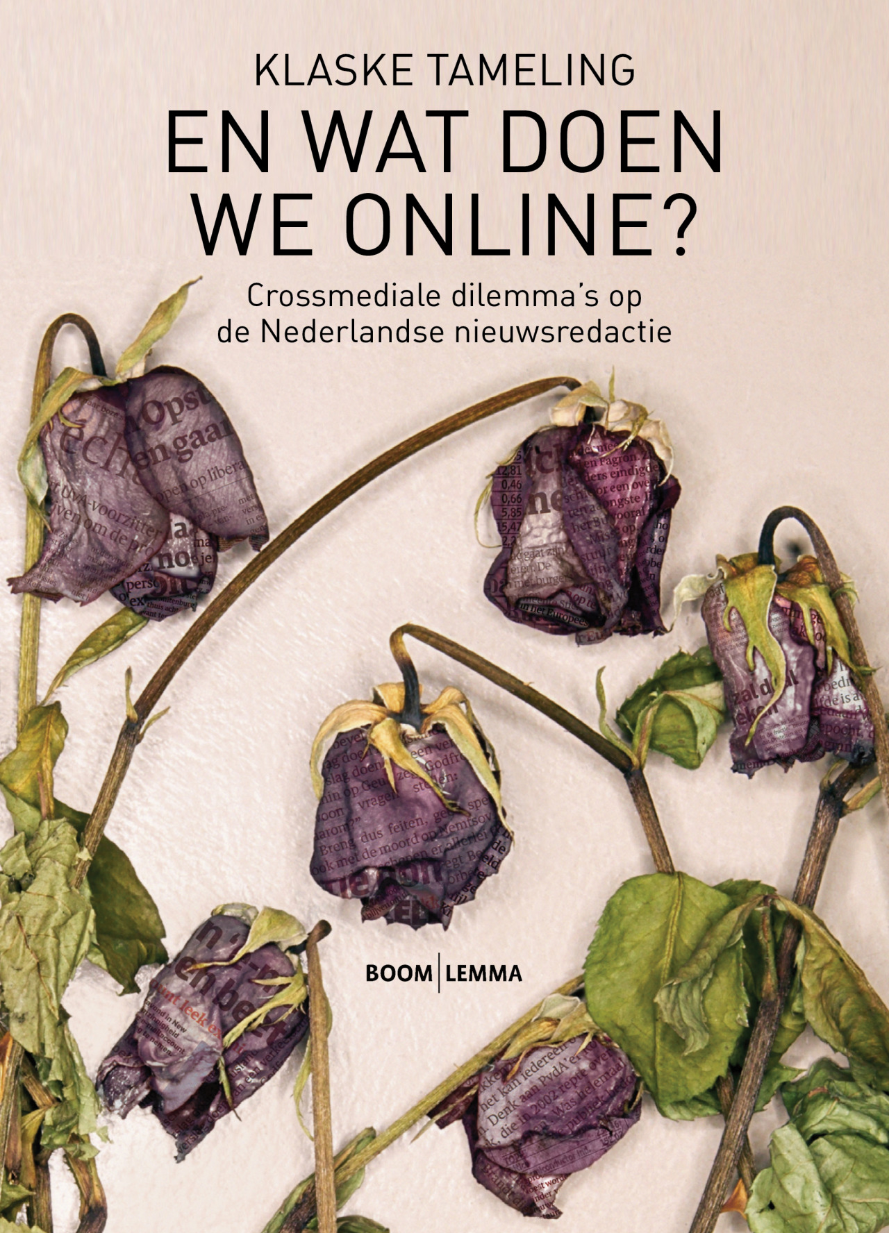 Studio van eekelen — boom lemma en wat doen we online? (proposal)