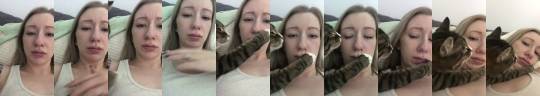 graciousk: effington:  doujinshi:  i love cats  I’m crying laughing  “staahp”“stahp”“nOOOOO” 