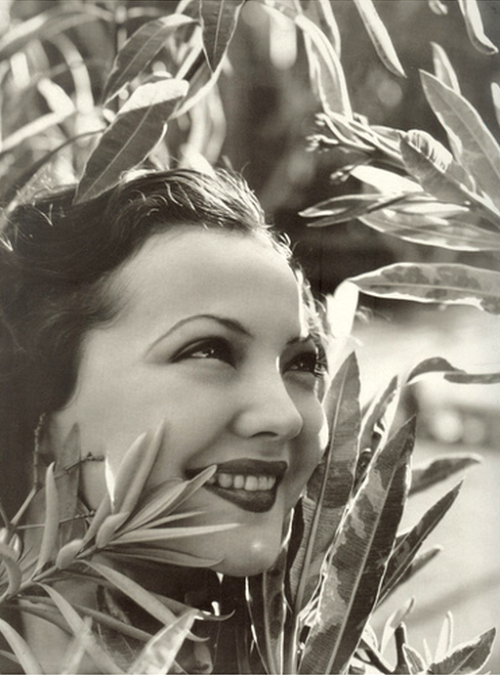 Sylvia Cecil Net Worth
