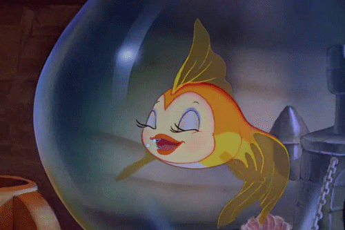tumblr_lka7p7Vvpl1qb9pa3o1_500 tumblr_lka7p7Vvpl1qb9pa3o1_500 Pinocchio Lý do tại sao 'Pinocchio' vẫn được bình chọn là phim hoạt hình hay nhất của Disney tumblr lka7p7Vvpl1qb9pa3o1 500