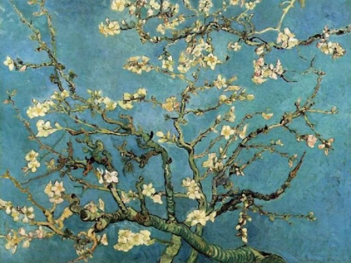 Ressam : Vincent Van Gogh (1854-1890)
Resim : Almond Blossom (1890)
Nerede : Van Gogh Museum, Amsterdam, Hollanda
Boyutu: 73,5 cm x 92 cm
Van Gogh 1890’da, yani hayatını kaybettiği senenin başında, çok sevdiği kardeşi Theo’dan bir mektup aldı....