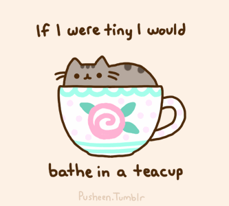Pusheen bathes in a teacup
