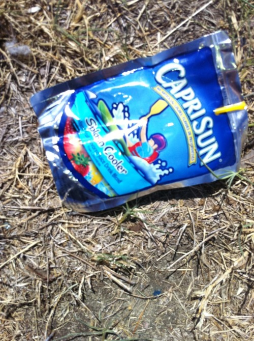 Image result for empty capris sun juice bags in a park