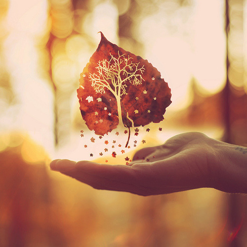 Картинки по запросу autumn  tumblr