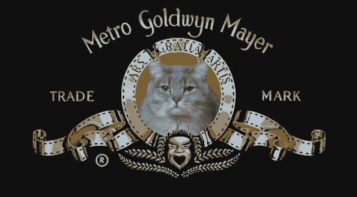 http://66.media.tumblr.com/tumblr_m548k0gpMM1qzyufio1_500.gif