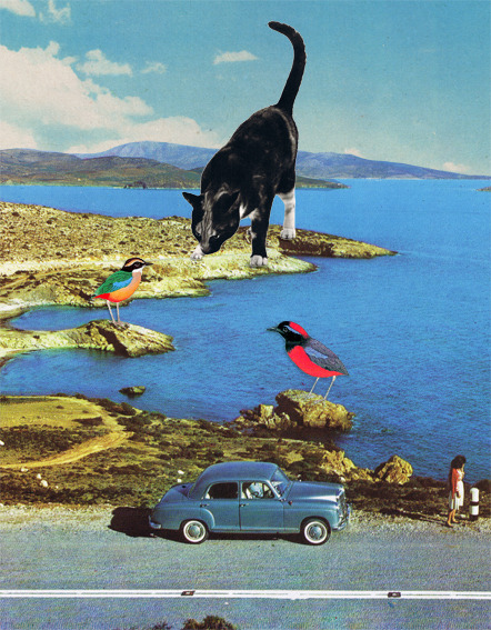 Ignorance is bliss by Sammy Slabbinck Ignorance is bliss by Sammy Slabbinck