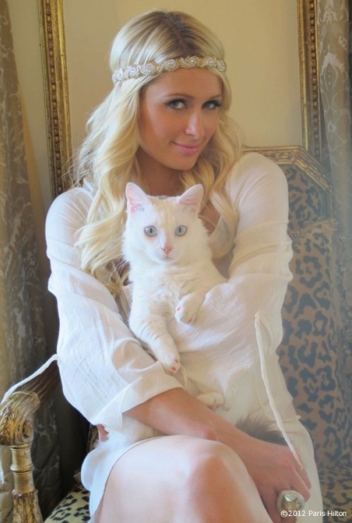 sofyiloveparishiltonxoxo:
“ How handsome is my Munchkin cat Shorty? Look at those eyes!
Check it http://www.parishilton.com/how-handsome-is-my-munchkin-cat-shorty-look-at-those-eyes
”